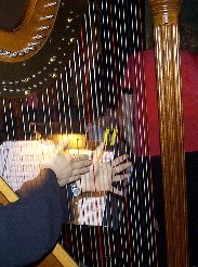 Arpa Paraguaya